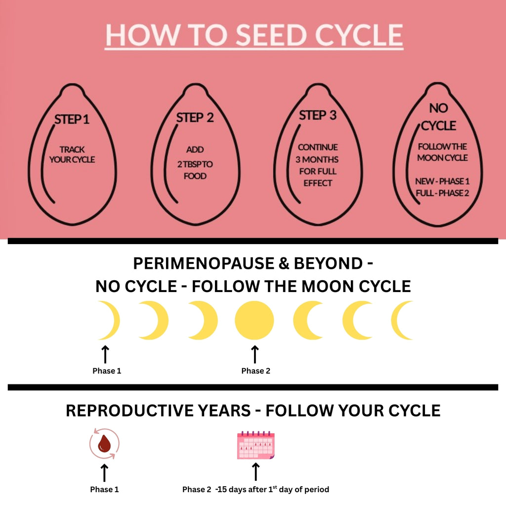 Diagram explaining the seed cycle with steps and lunar phases on a pink background