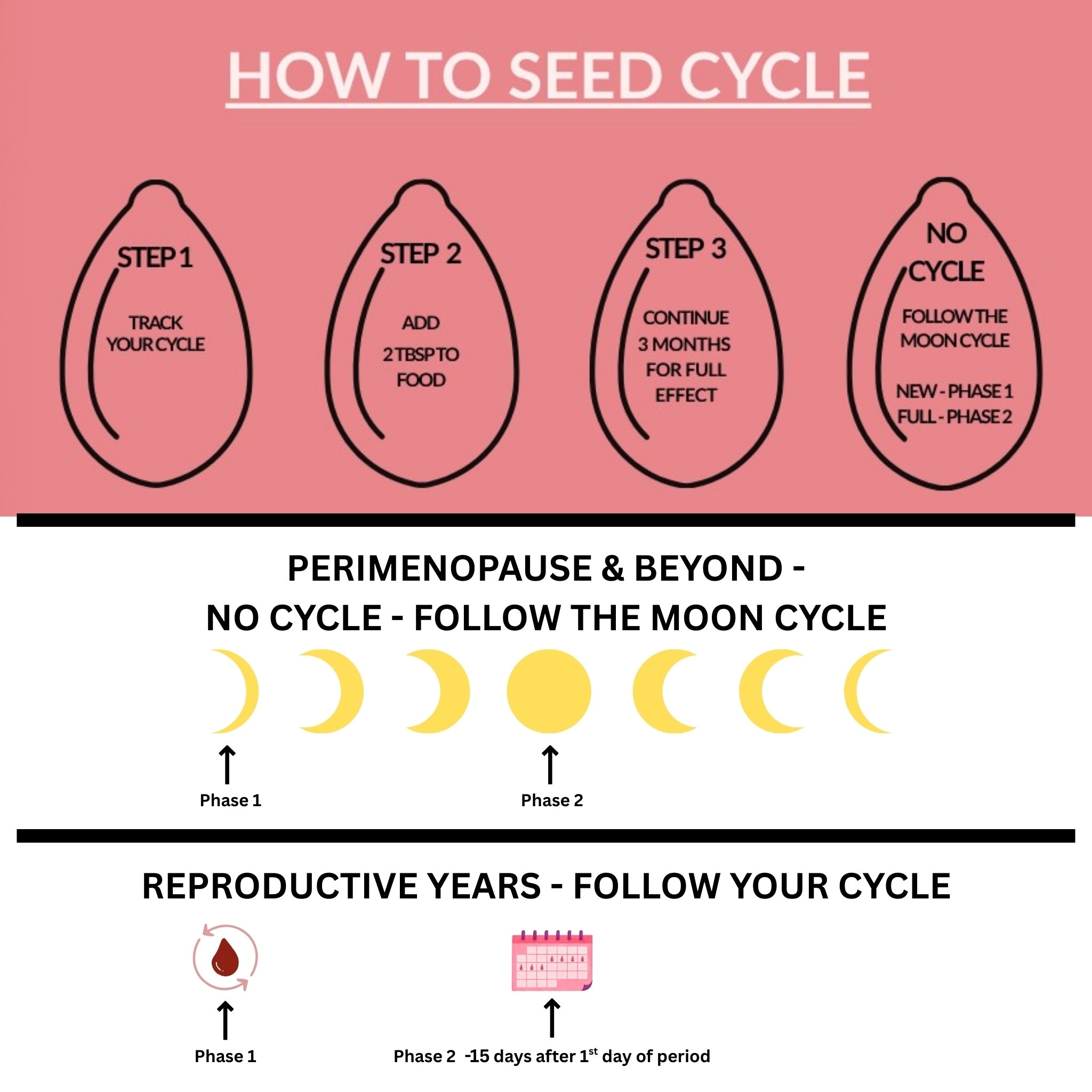 Diagram explaining the seed cycle with steps and lunar phases on a pink background